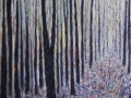 NOW SOLD Spirits of the Forest II